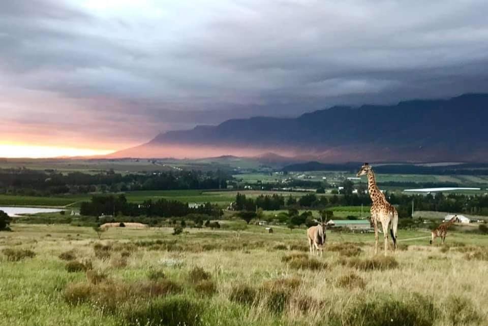 Kwetu Guest Farm Villa Swellendam Exterior photo